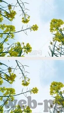 最安全的百家乐的注册网址-安全注册百家乐，享受无忧娱乐体验